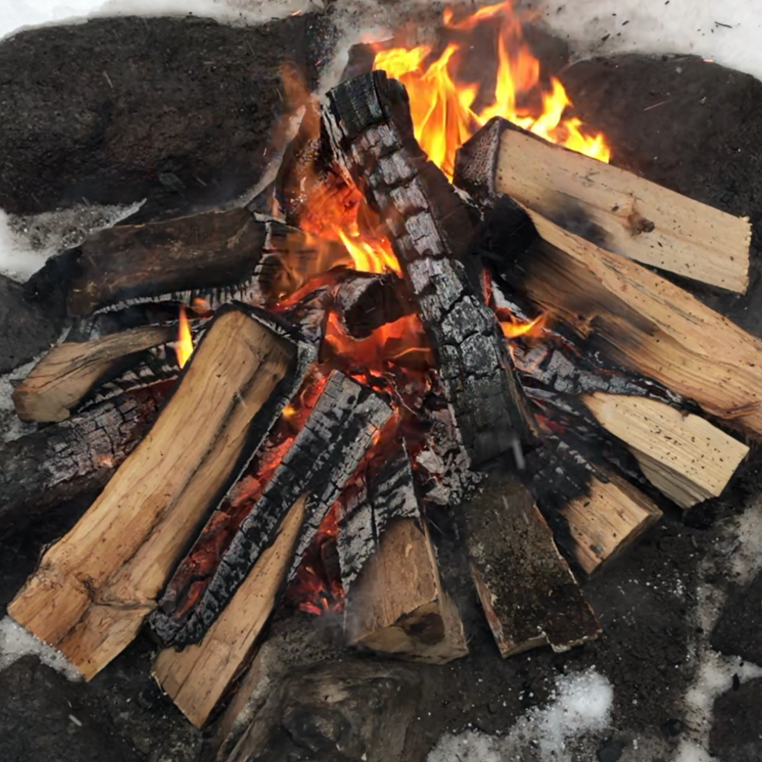 Feu de camp au Centre de plein air de l'UQAM